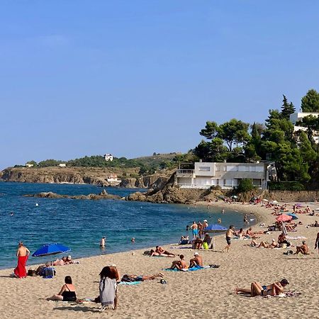 Studio Moderne Argeles Sur Mer.La Plage A Pieds, Espagne A 30Mn Exteriör bild