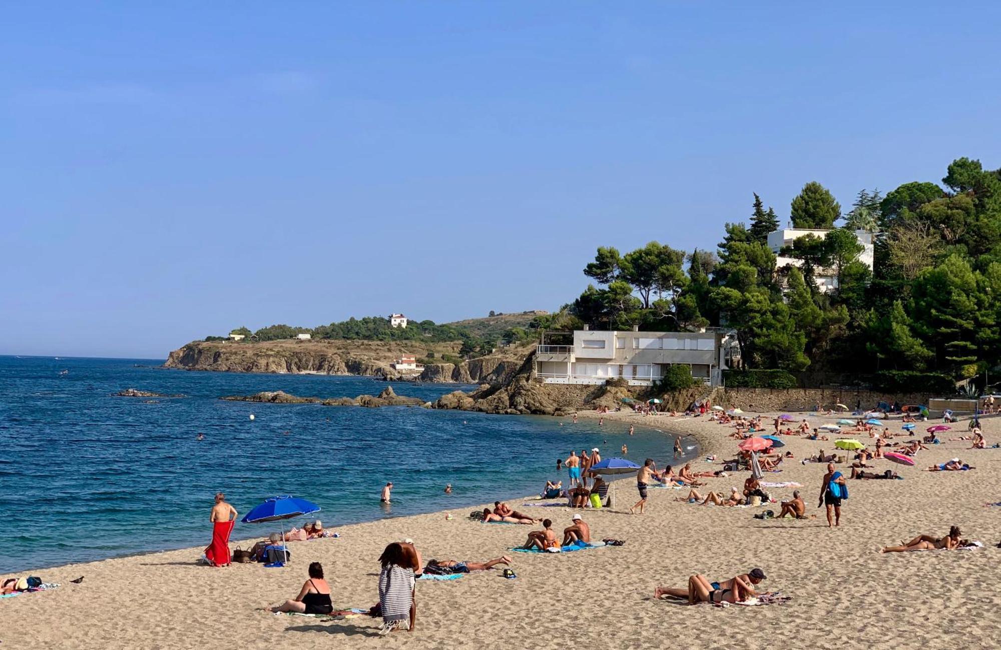 Studio Moderne Argeles Sur Mer.La Plage A Pieds, Espagne A 30Mn Exteriör bild